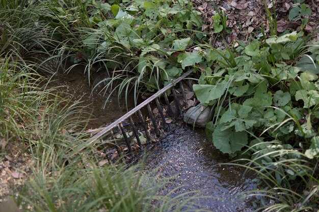 Обновление и модернизация оборудования при необходимости