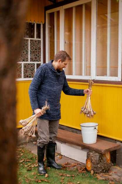 Требования к монтажу и подключению оборудования