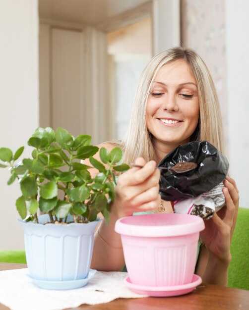 Оптимальные методы полива для разных растений