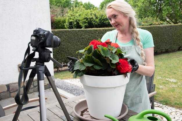 Режим температуры и освещения