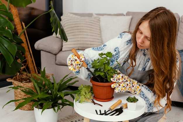 Оптимальные схемы посадки цветочных культур