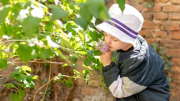 Частые ошибки при обрезке винограда