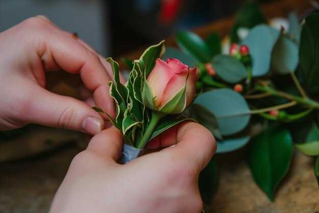 Условия температуры и освещения для черенка