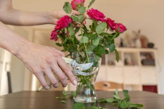 Выбор подходящего черенка для укоренения