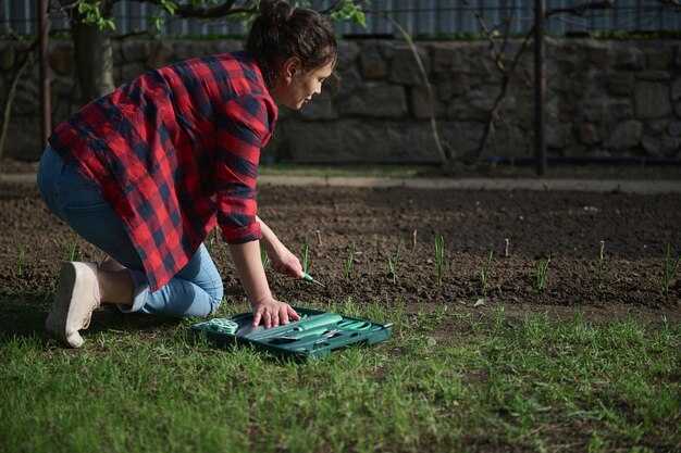 Методы очистки участка от растительности и мусора