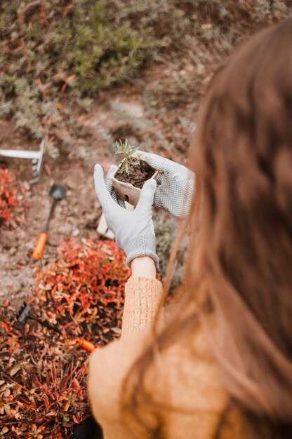 Ошибки, которых следует избегать при посадке вейгелы