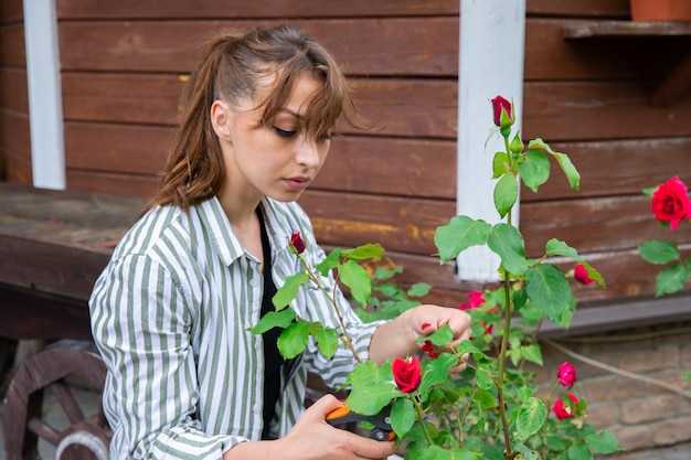 Полив после посадки