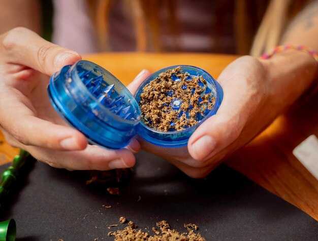 Советы по сезонному уходу за гелиотропом после сбора