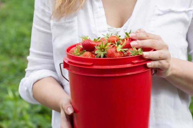 Как правильно подготовить почву перед внесением удобрений