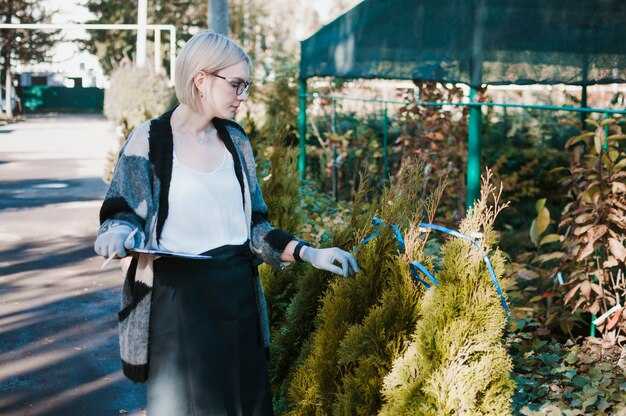 Подготовка гортензии к зимовке