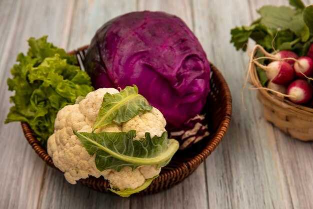 Сбор урожая капусты кольраби: когда и как