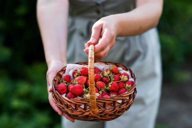 Оптимальные условия освещения для клубники