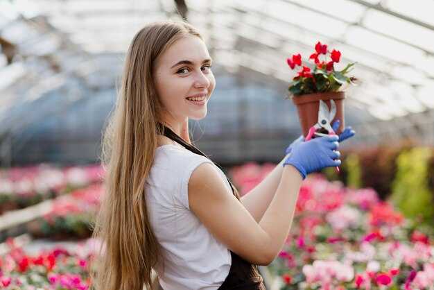 Способы укрытия роз на зиму