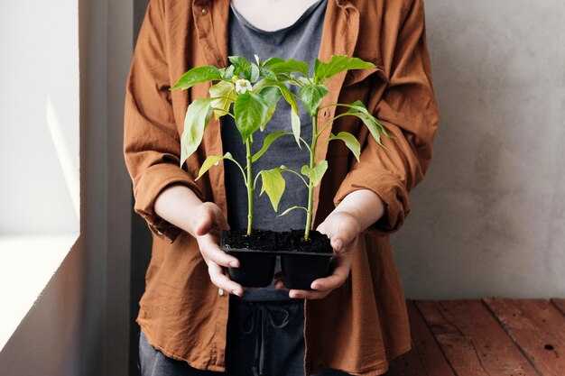 Требования к почве для посева