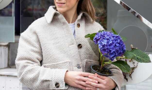 Правильная техника укрытия гортензий