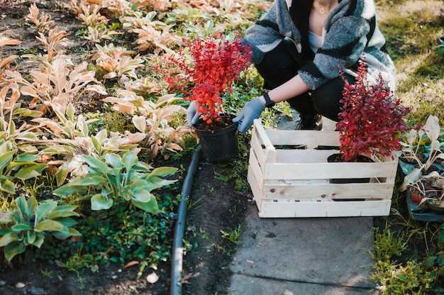 Подготовка участка для осеннего посева