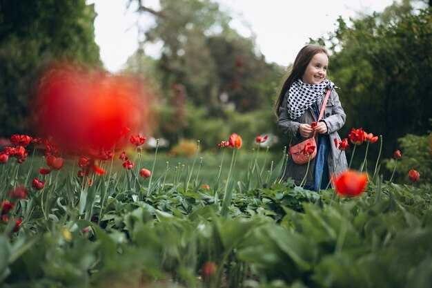 Как ухаживать за балаболками в домашних условиях