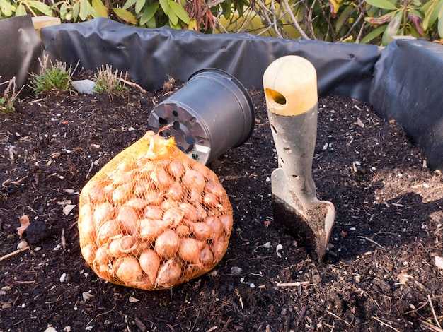 Альтернативные источники удобрений: как правильно использовать