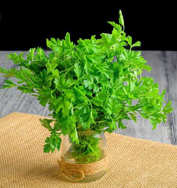 Кулинарные ошибки с кориандром: как их избежать