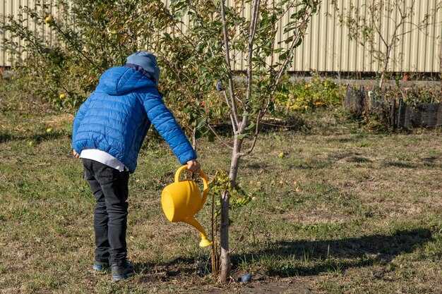 Способы расчета расстояния для крупных и карликовых сортов