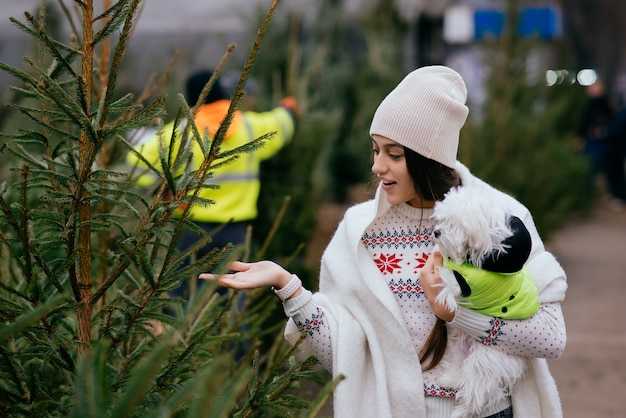 Как подготовить инструменты для обрезки