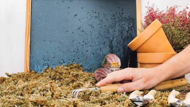 Основные технические характеристики