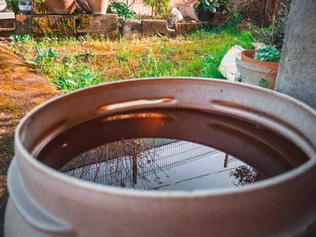 Что учесть при оценке характера почвы