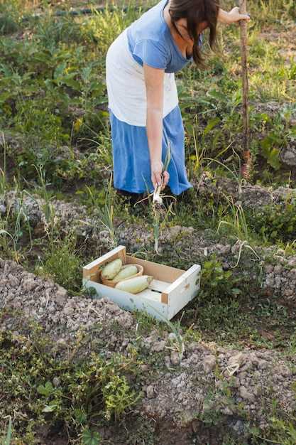 Типы микроорганизмов в системах очистки