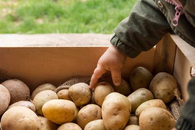 Культурные изменения, вызванные распространением картофеля