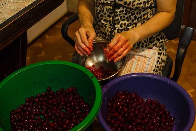 Ошибки новичков при приготовлении вина и как их избежать