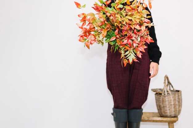 Желтые листья на комнатных растениях: как бороться